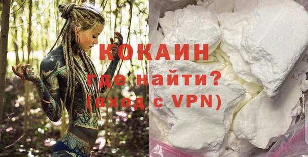 индика Семилуки