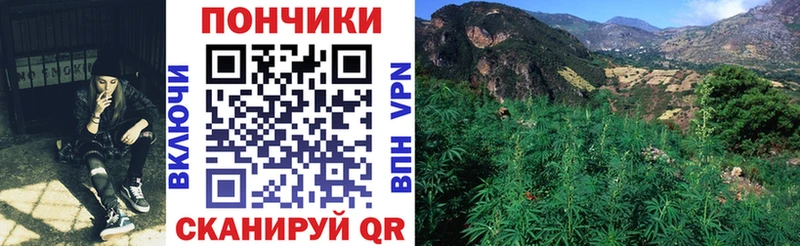 кракен сайт  Ивангород  Шишки марихуана OG Kush  что такое  